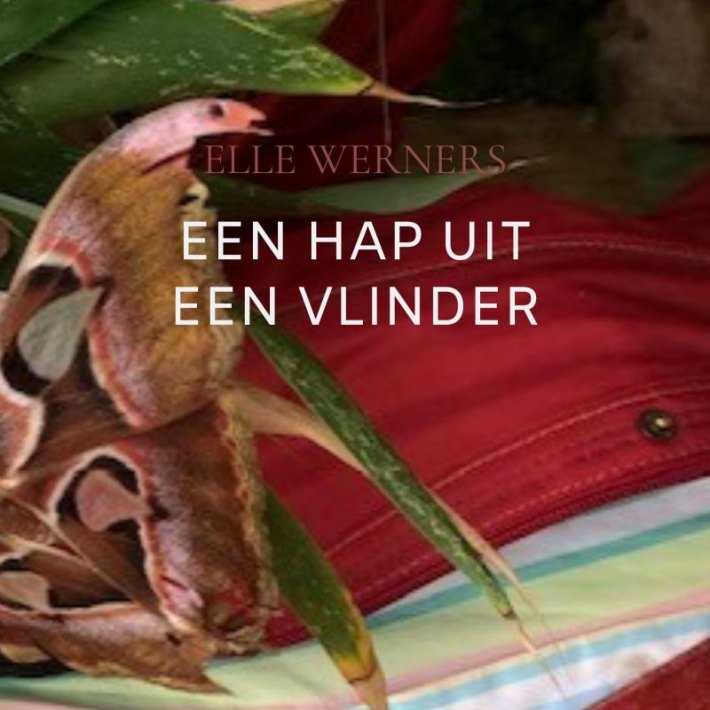 EEN HAP UIT EEN VLINDER EEN HAP UIT EEN VLINDER