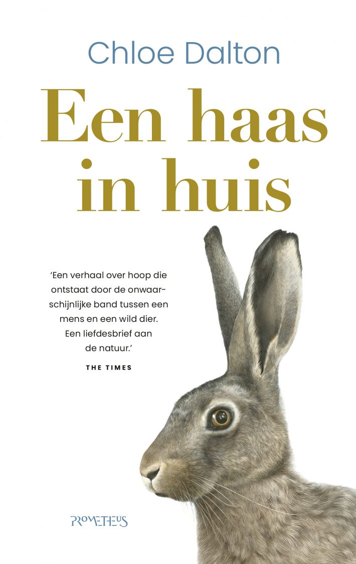 Een haas in huis Een haas in huis