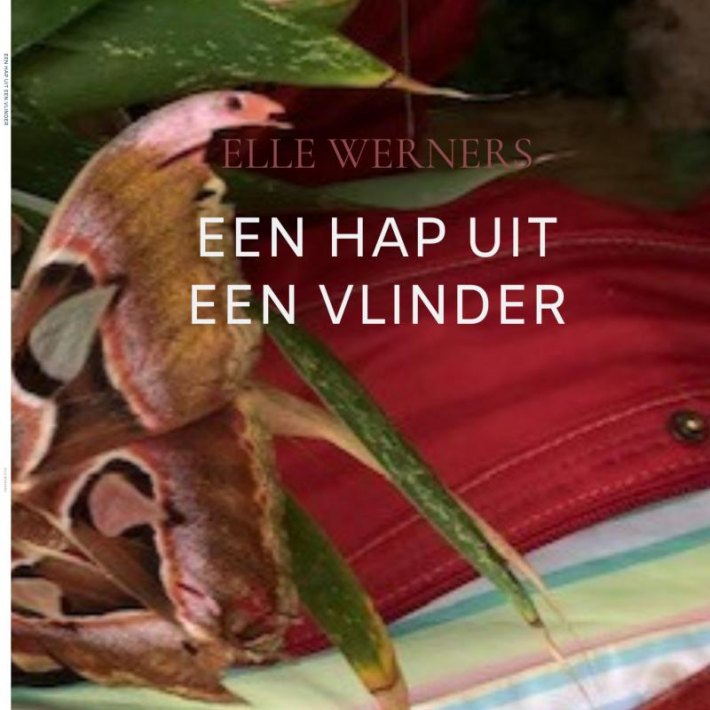 EEN HAP UIT EEN VLINDER EEN HAP UIT EEN VLINDER