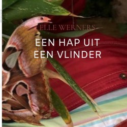 EEN HAP UIT EEN VLINDER