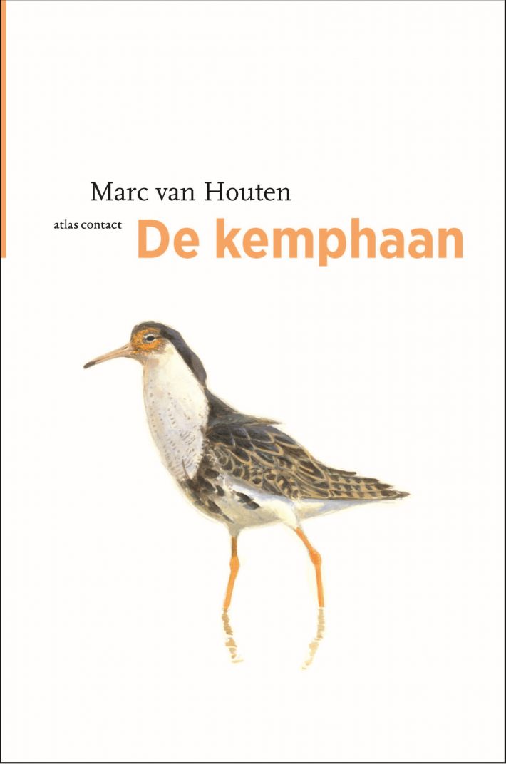 De Kemphaan