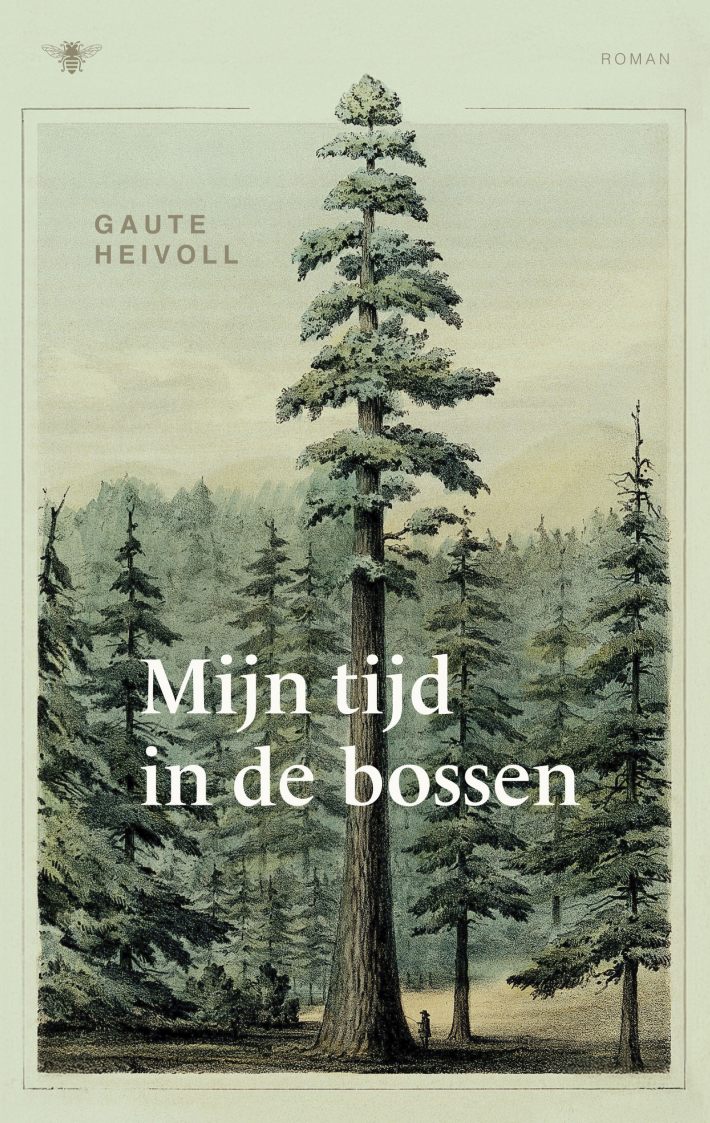 Mijn tijd in de bossen Mijn tijd in de bossen