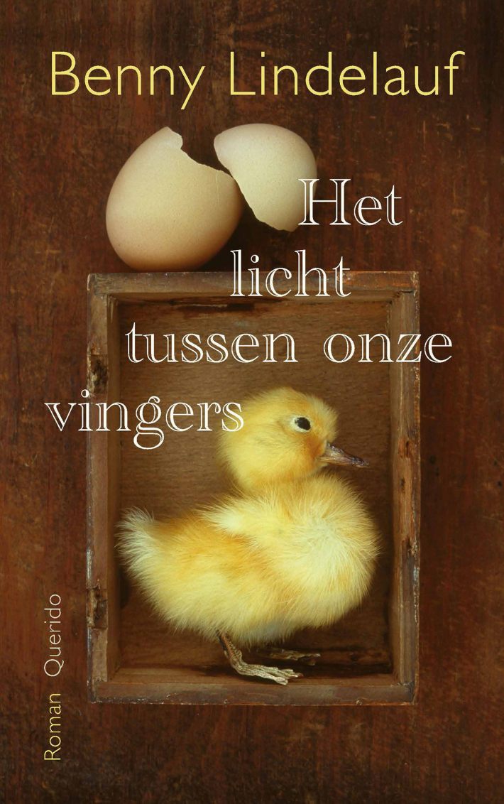 Het licht tussen onze vingers Het licht tussen onze vingers