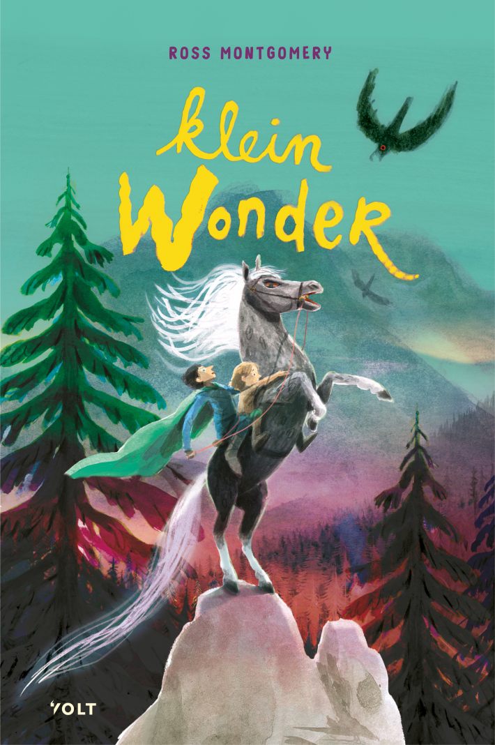 Klein wonder Klein wonder