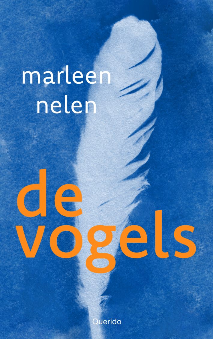 De vogels De vogels