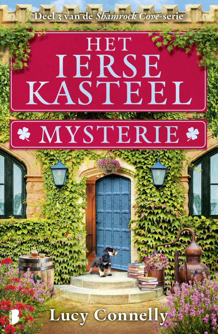 Het Ierse kasteelmysterie • Het Ierse kasteelmysterie