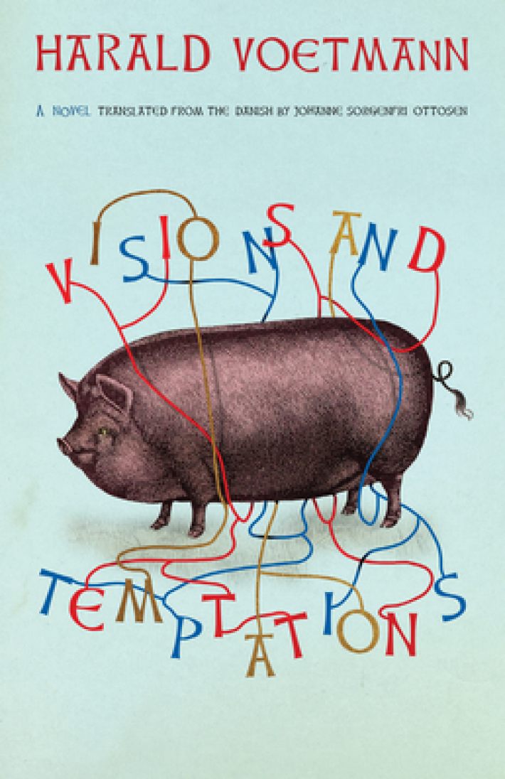 Visions and Temptations