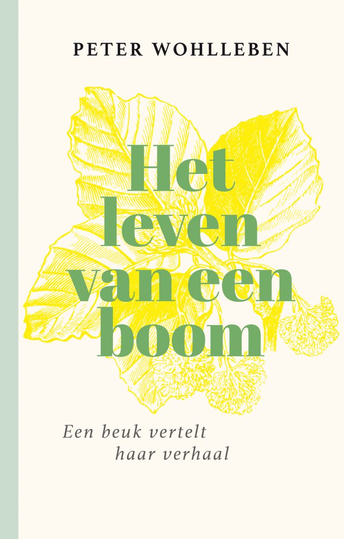 Het leven van een boom Het leven van een boom