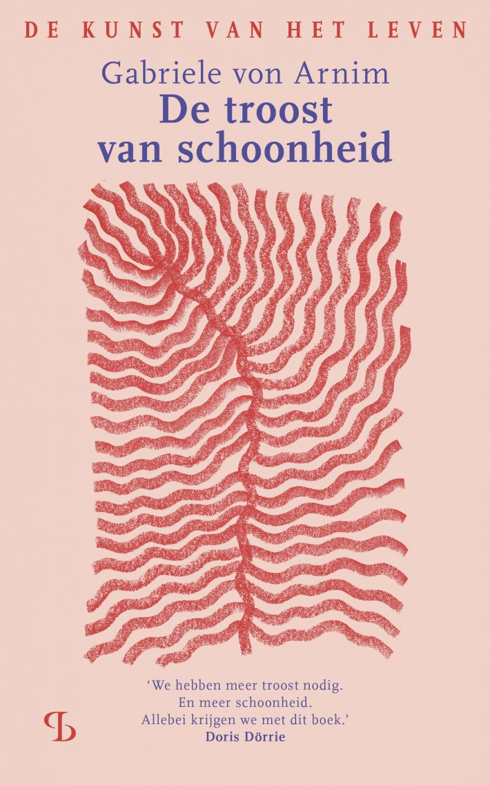 De troost van schoonheid
