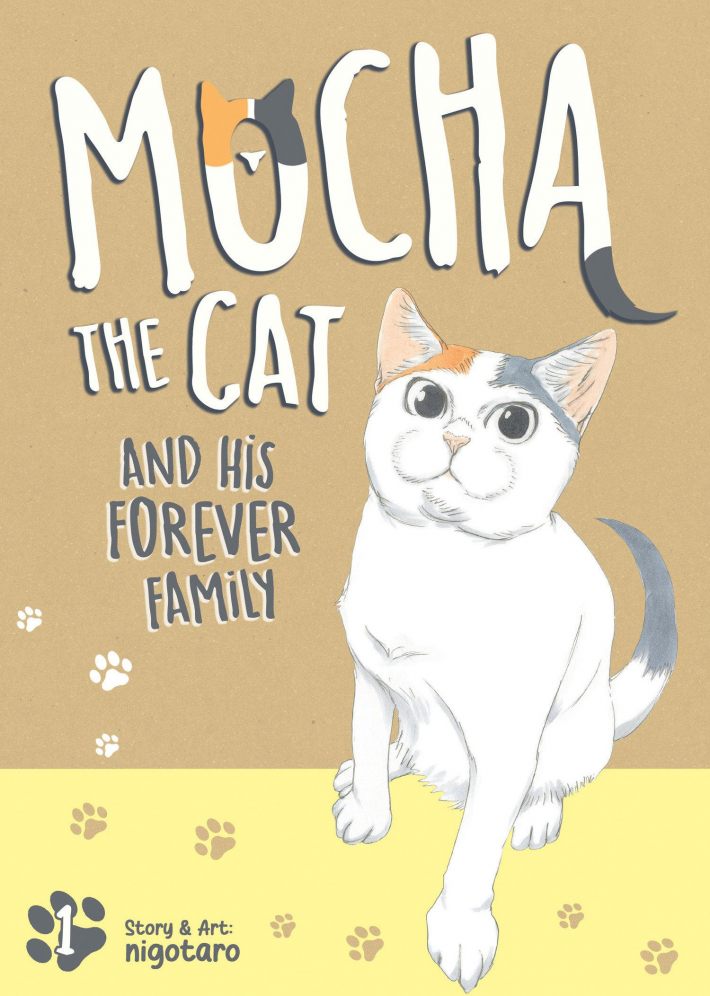 Mocha the Cat and His Forever Family Vol. 1