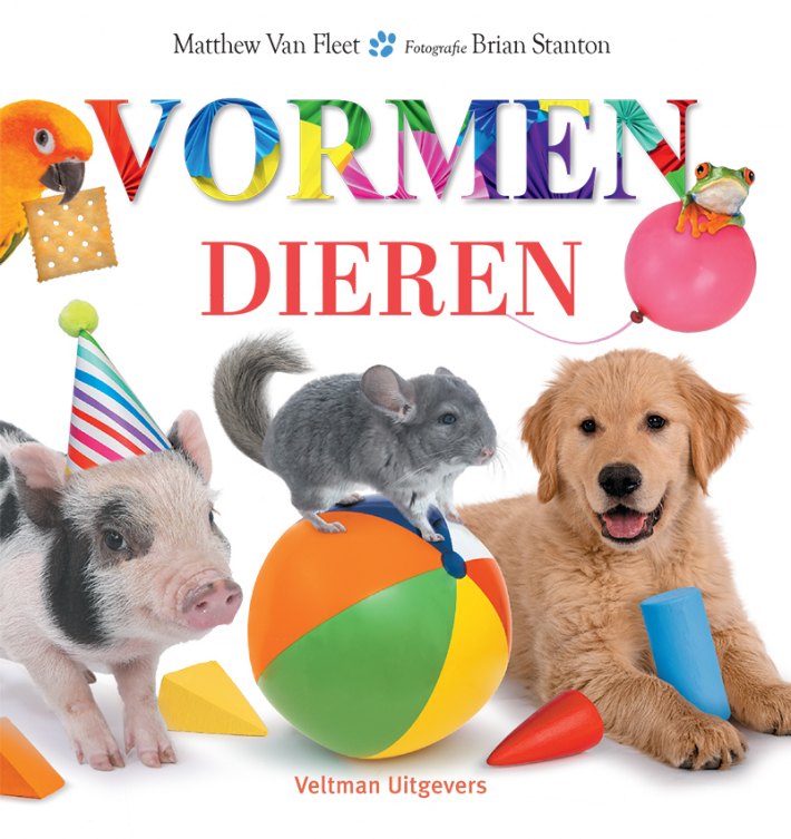 Dieren - vormen Dieren - vormen