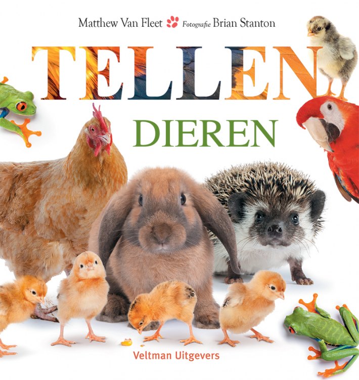 Dieren - tellen Dieren - tellen
