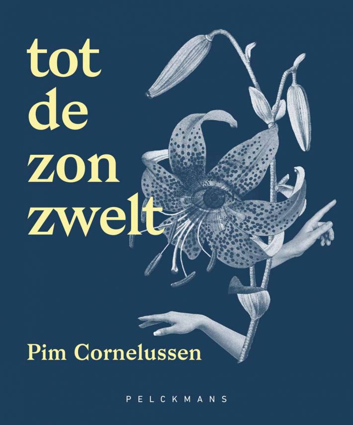 Tot de zon zwelt Tot de zon zwelt