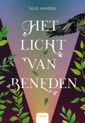 Het licht van beneden