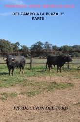 DEL CAMPO A LA PLAZA 1ª PARTE