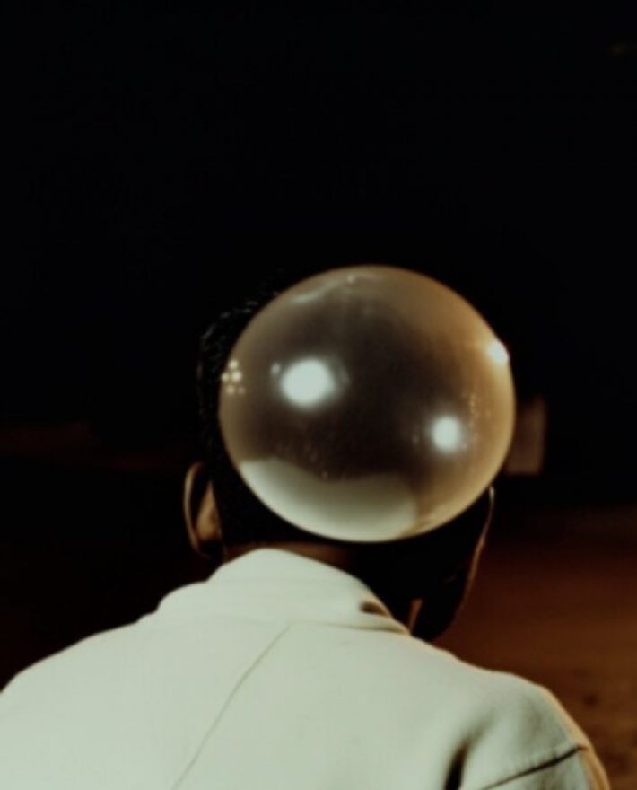 Elephant in the Room Elephant in the Room