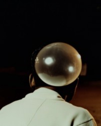 Elephant in the Room