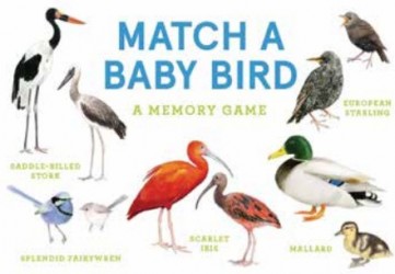 Match a Baby Bird Match a Baby Bird