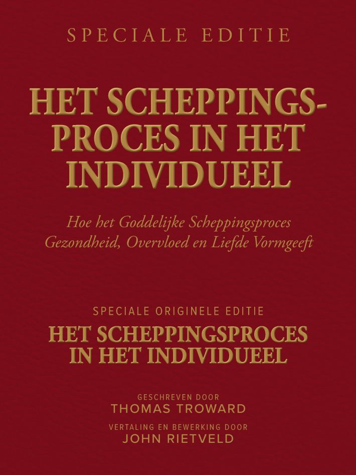 Het Scheppingsproces in het Individueel