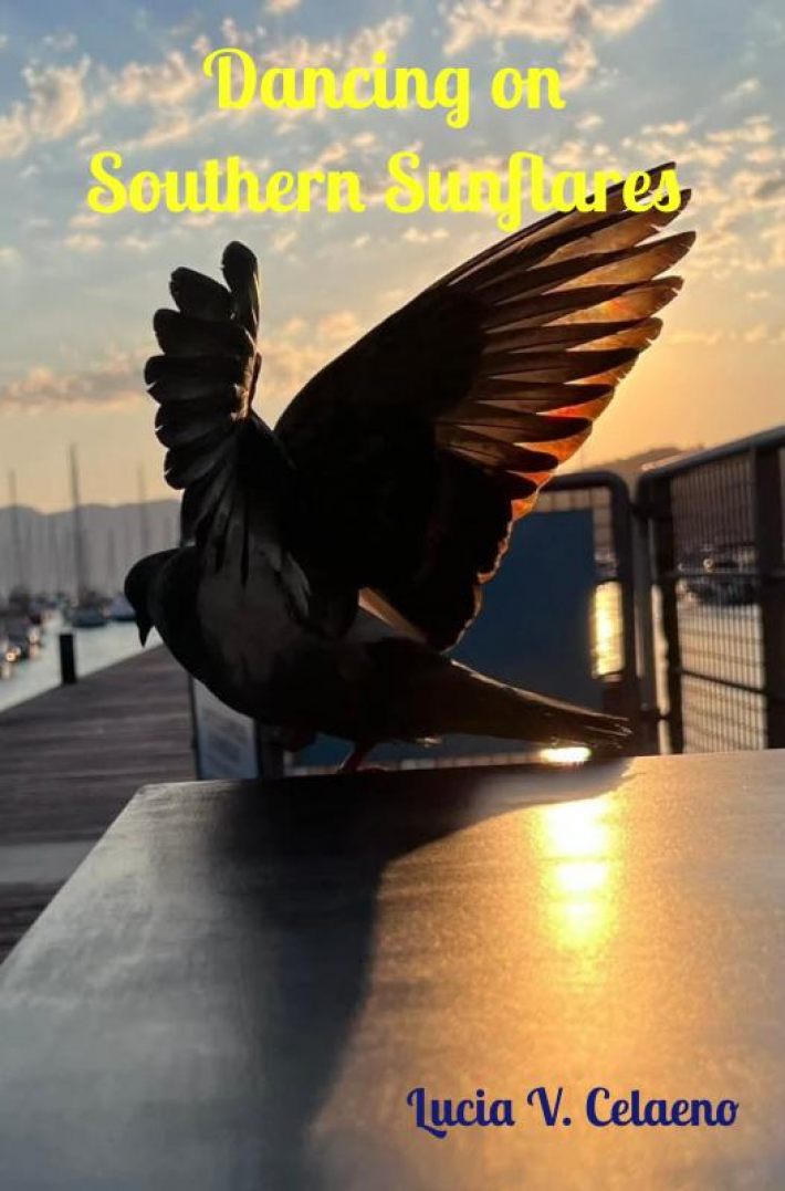 Dancing on Southern Sunflares Dancing on Southern Sunflares