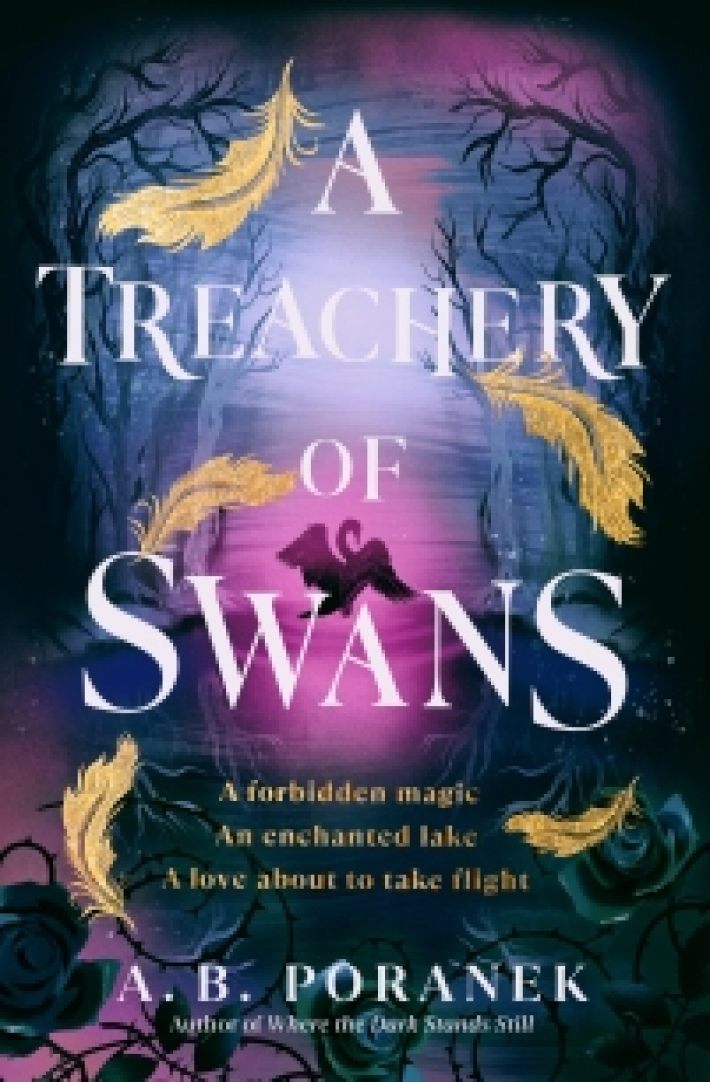 A Treachery of Swans