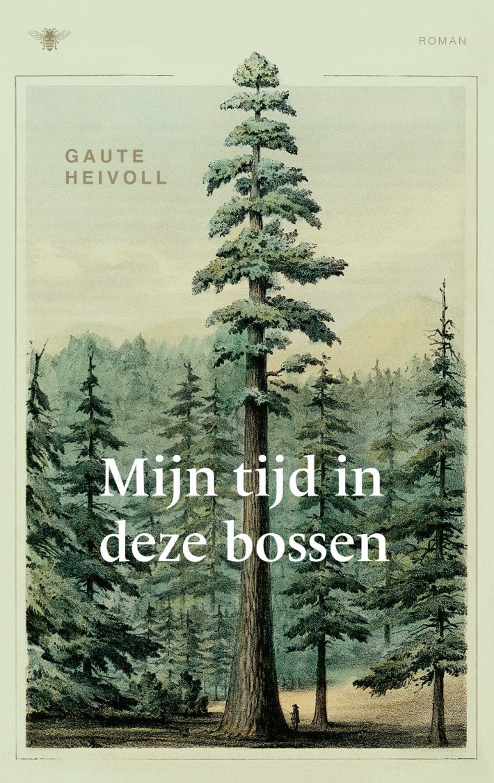 Mijn tijd in de bossen &bullet; Mijn tijd in de bossen