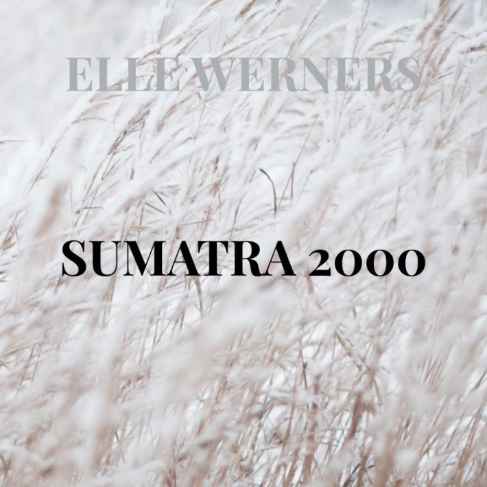 SUMATRA 2000