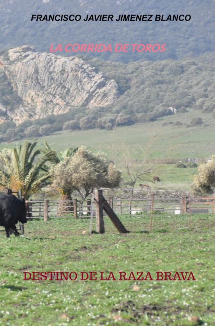 LA CORRIDA DE TOROS