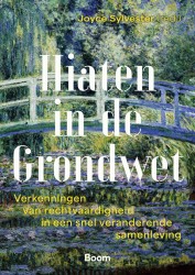 Hiaten in de Grondwet