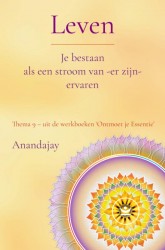 Leven: Je bestaan als een stroom van -er zijn- ervaren