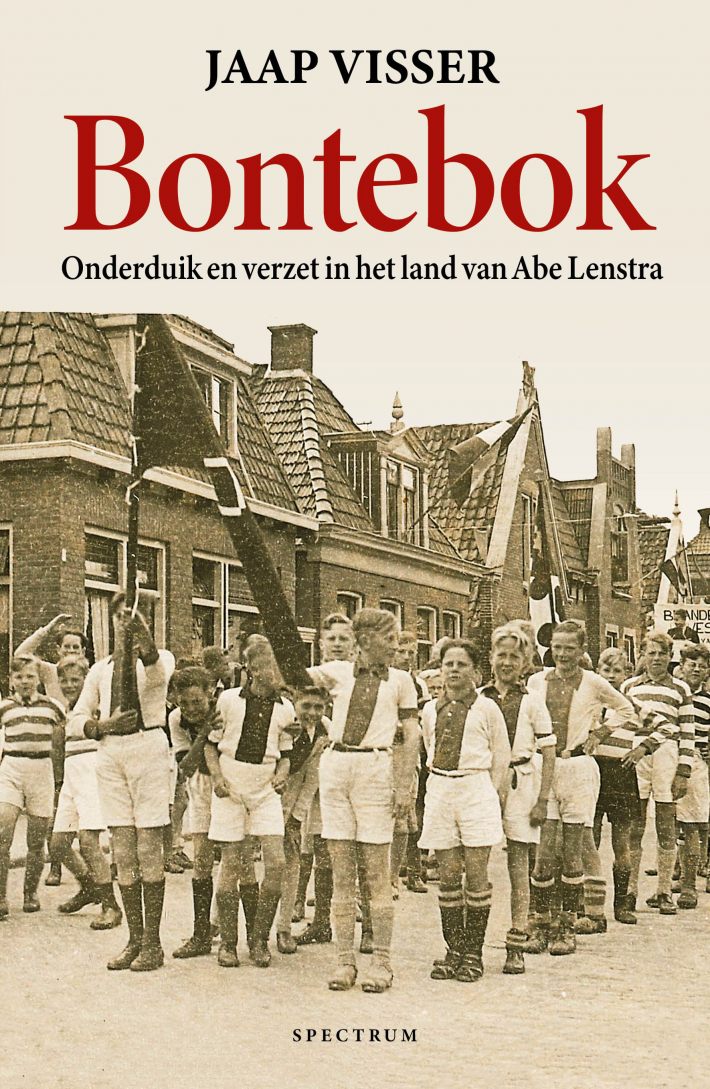 Bontebok &bullet; Bontebok