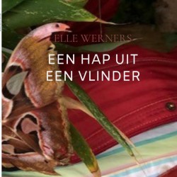 EEN HAP UIT EEN VLINDER