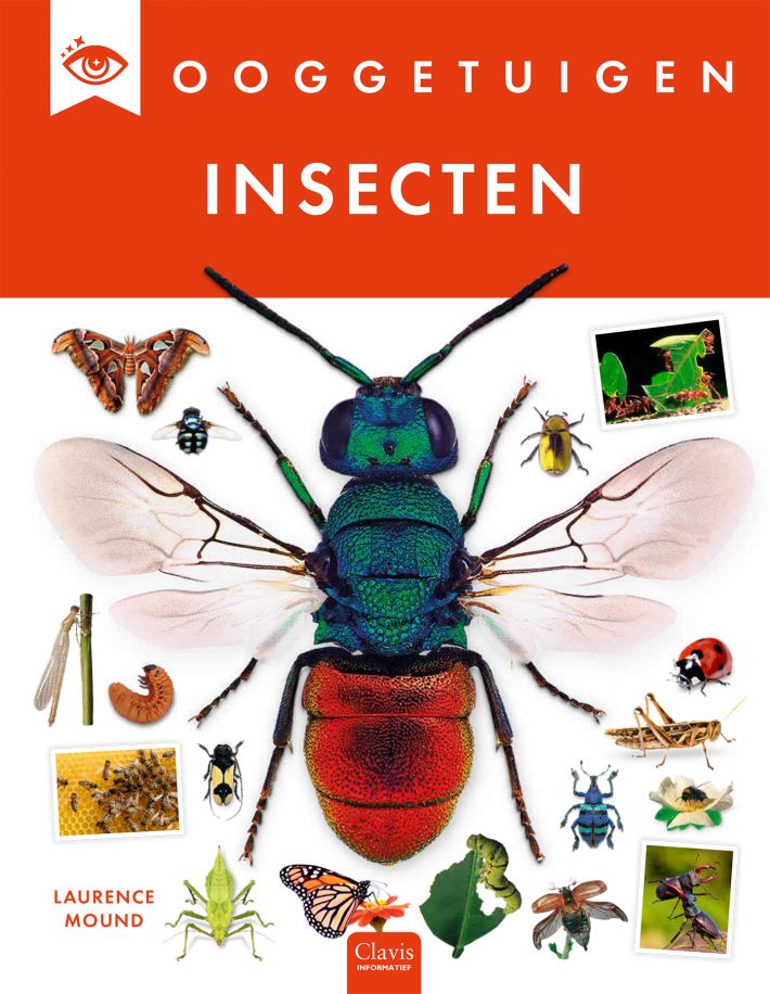Insecten