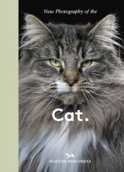 New Photography of the Cat.