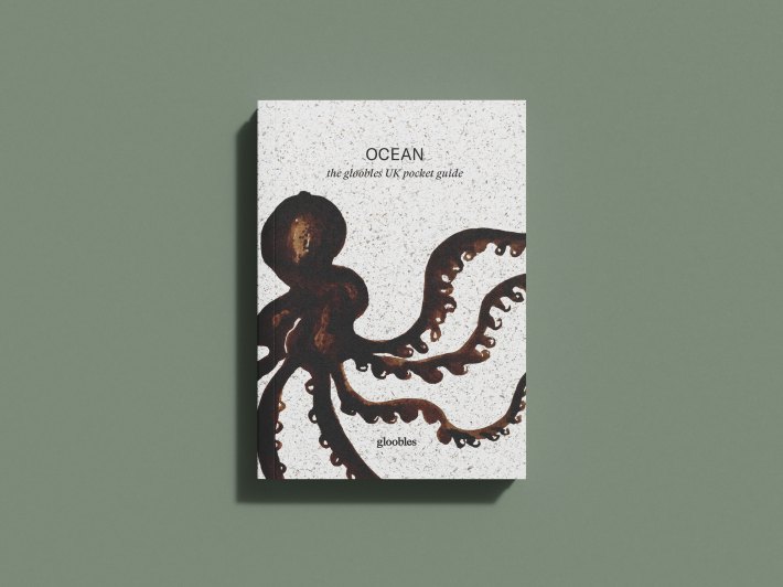 OCEAN the gloobles pocket guide on the UK