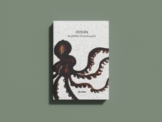 OCEAN the gloobles pocket guide on the UK