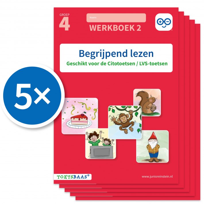Begrijpend lezen werkboek 2 (Set van 5)