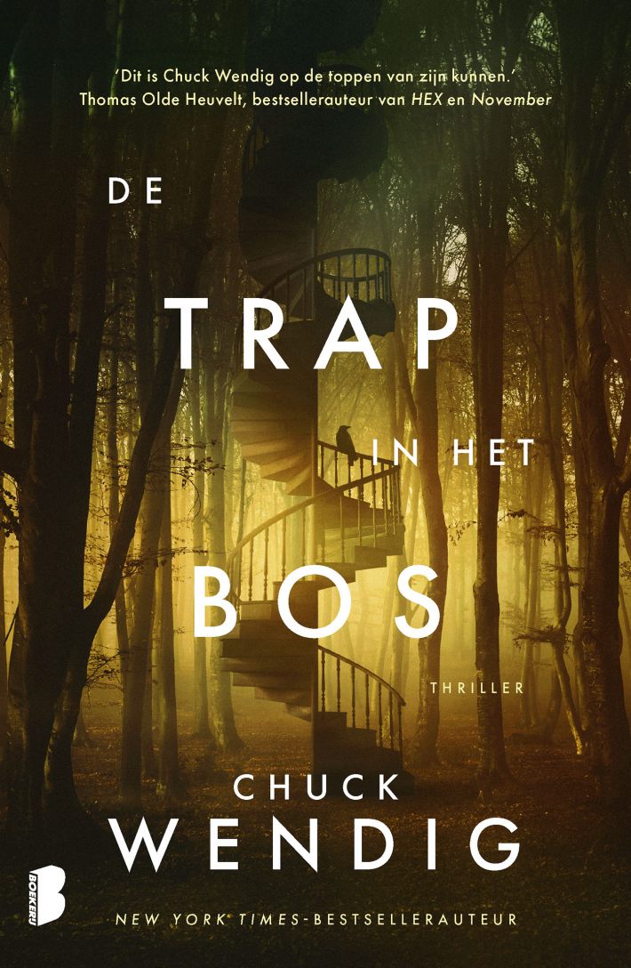De trap in het bos &bullet; De trap in het bos