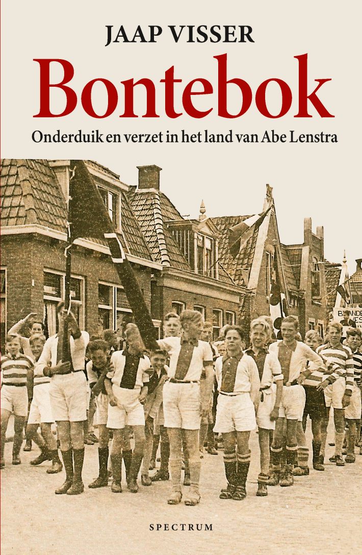 Bontebok &bullet; Bontebok