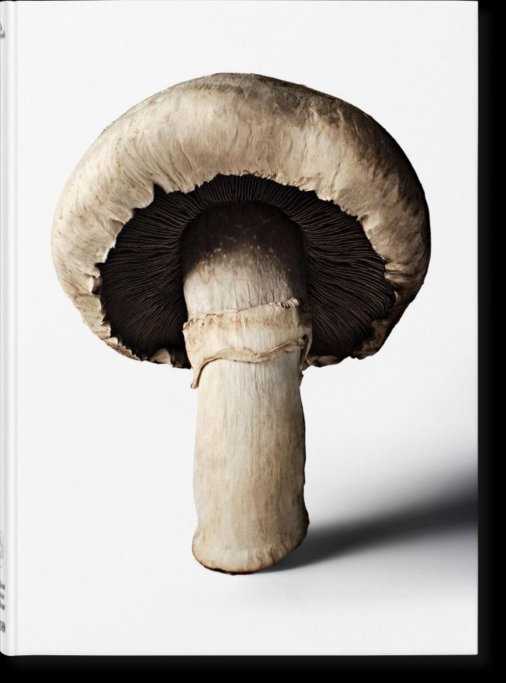 The Gourmand's Mushroom