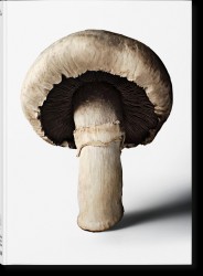 The Gourmand's Mushroom. A Collection of Stories & Recipes