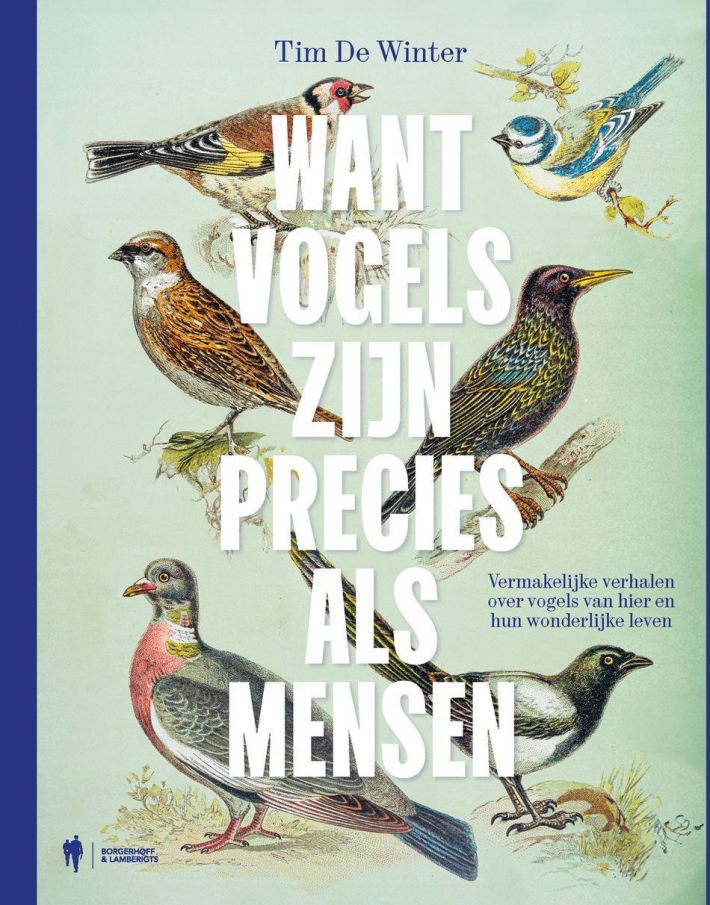 Want vogels zijn precies als mensen