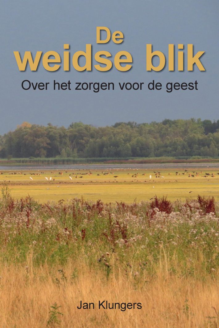 De weidse blik