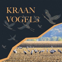 Kraanvogels