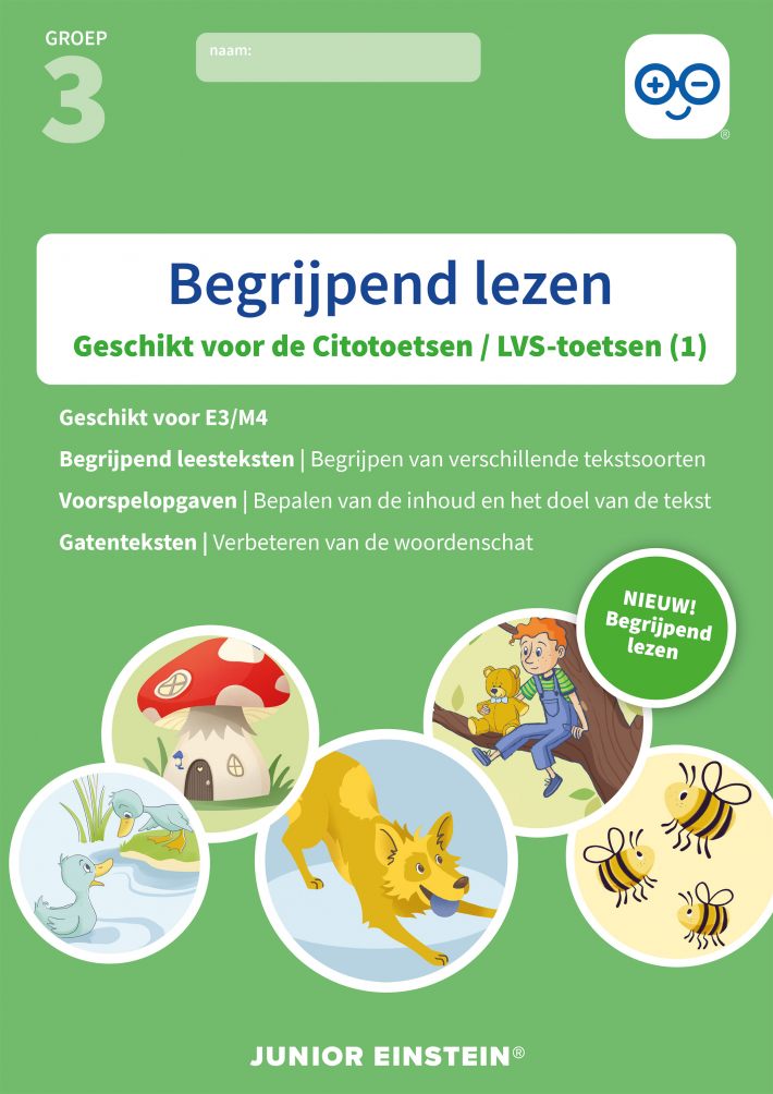 Begrijpend lezen