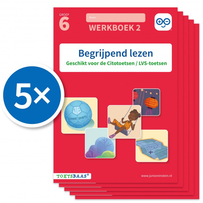 Begrijpend lezen werkboek 2 (Set van 5)