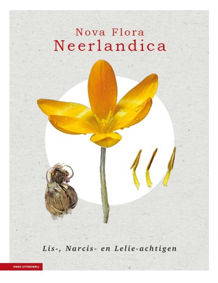 Nova Flora Neerlandica deel 3 - Lis-, Narcis- en Lelieachtigen