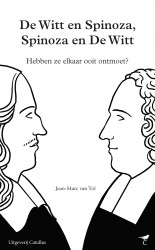 De Witt en Spinoza, Spinoza en De Witt