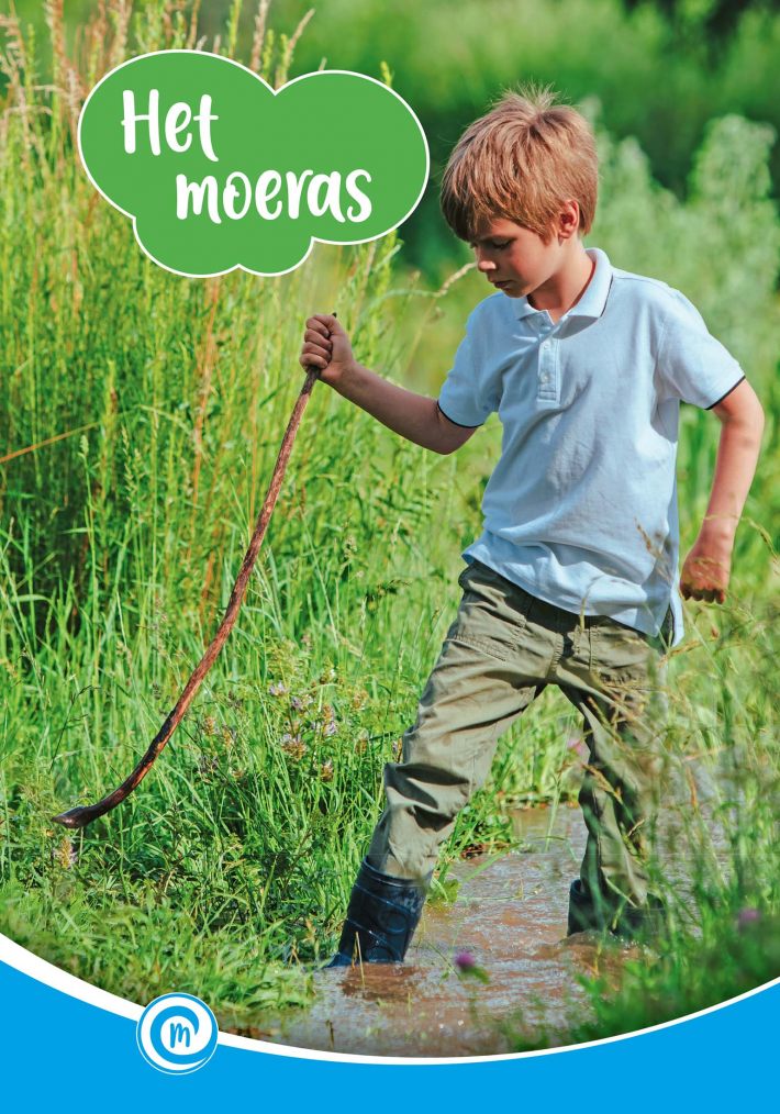 Het moeras Het moeras