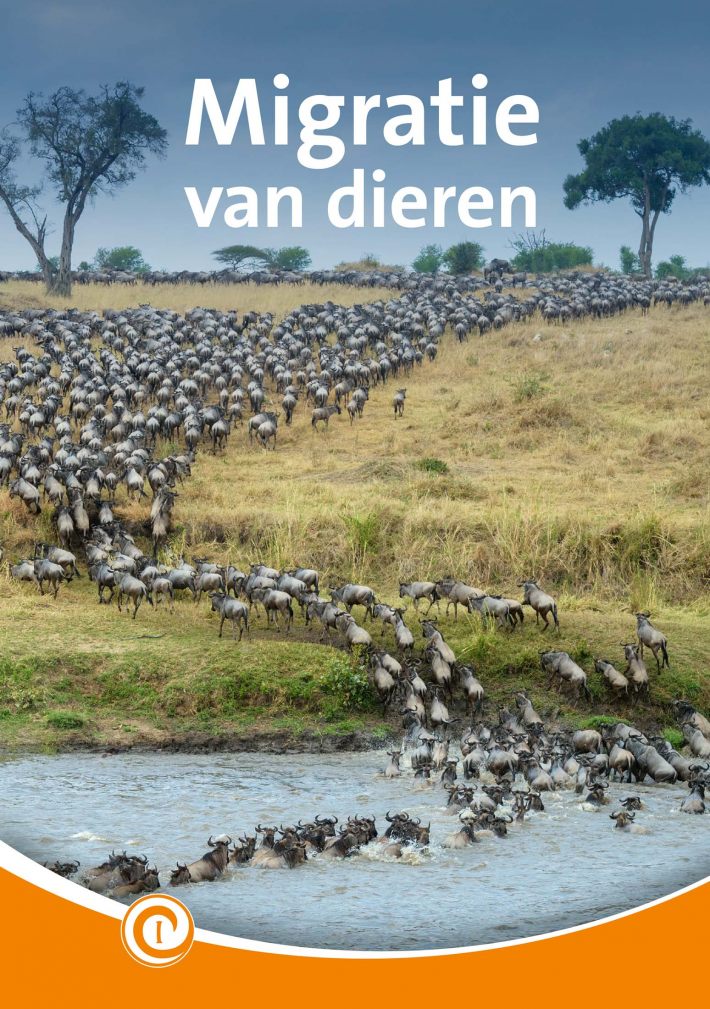 Migratie van dieren